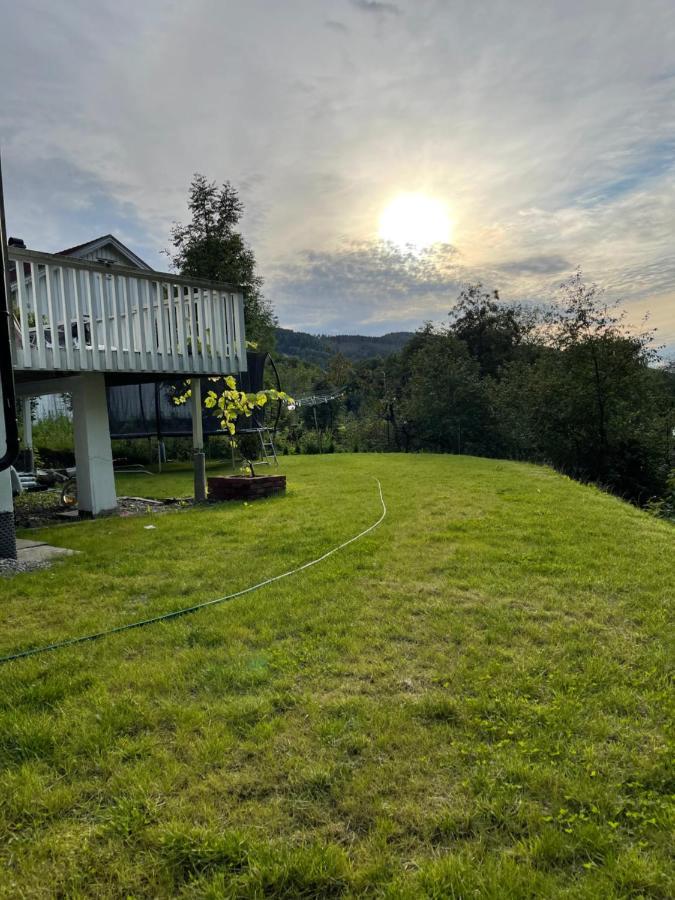 Apartamento Fin Sentralt Hybel I Drammen Exterior foto