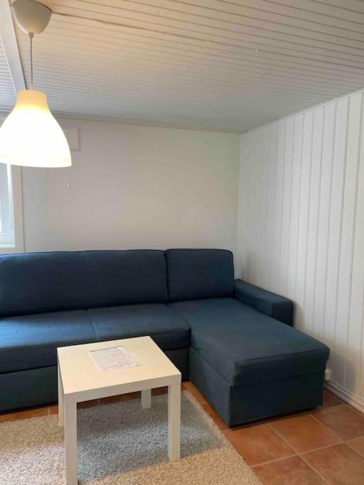 Apartamento Fin Sentralt Hybel I Drammen Exterior foto