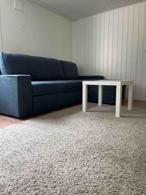 Apartamento Fin Sentralt Hybel I Drammen Exterior foto